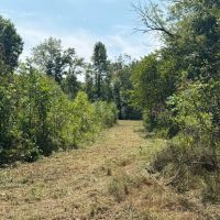 31 Acres with Frontage on the Chattooga River in Walker County GA images 5