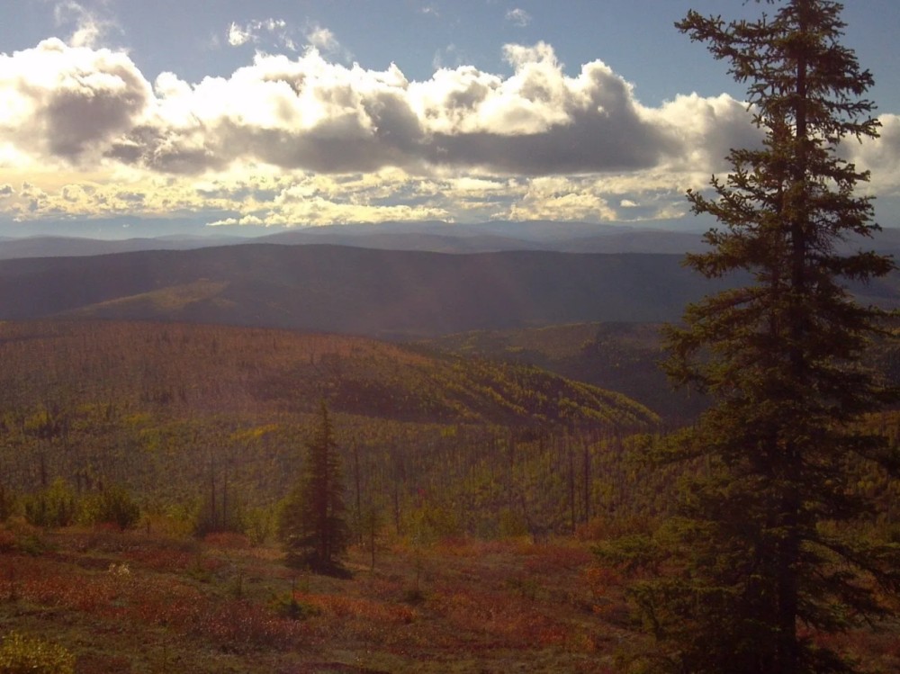 Fortymile River Gold District featured image