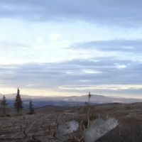 Fortymile River Gold District images 2