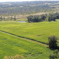 Marquette County 94 Acres of Hunting and Tillable land for sale images 2