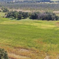 Marquette County 94 Acres of Hunting and Tillable land for sale images 3