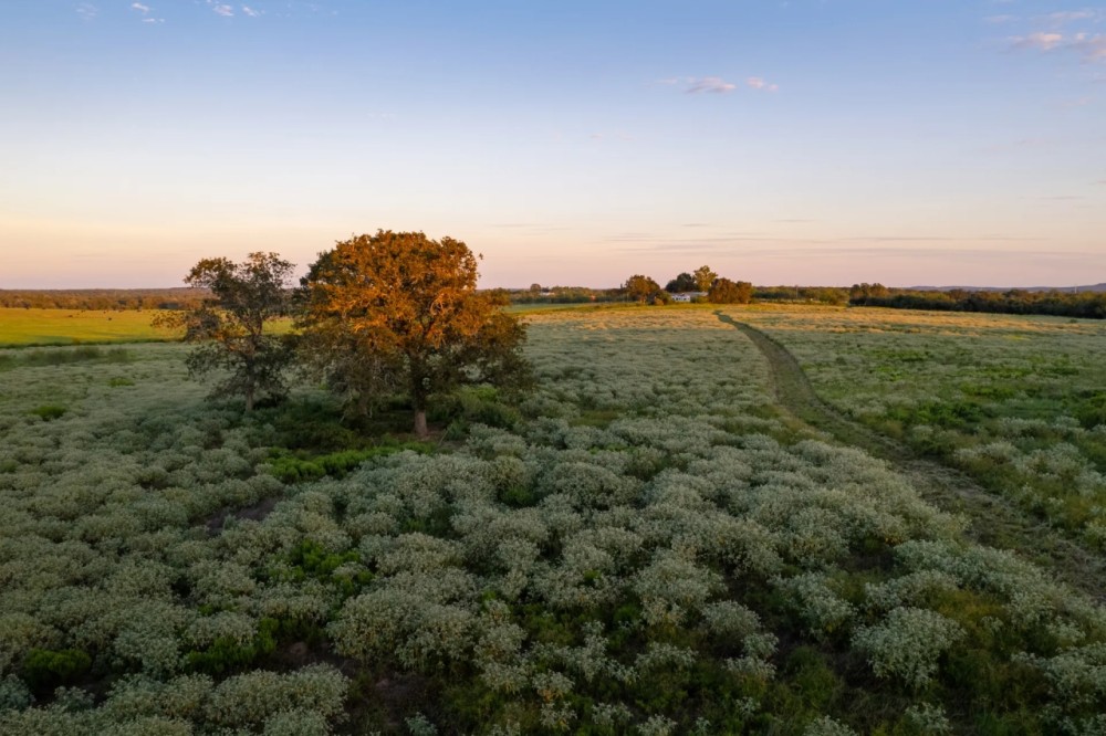 Darst Creek Ranch featured image