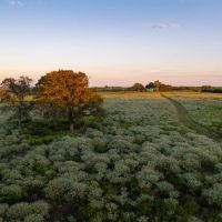 Darst Creek Ranch images 1