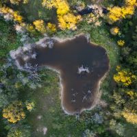 Darst Creek Ranch images 4