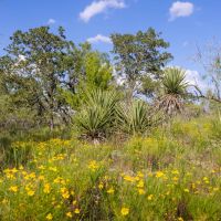 Darst Creek Ranch images 5