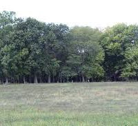 Trenton 2,647 acres deer hunting land in Williams, ND images 5