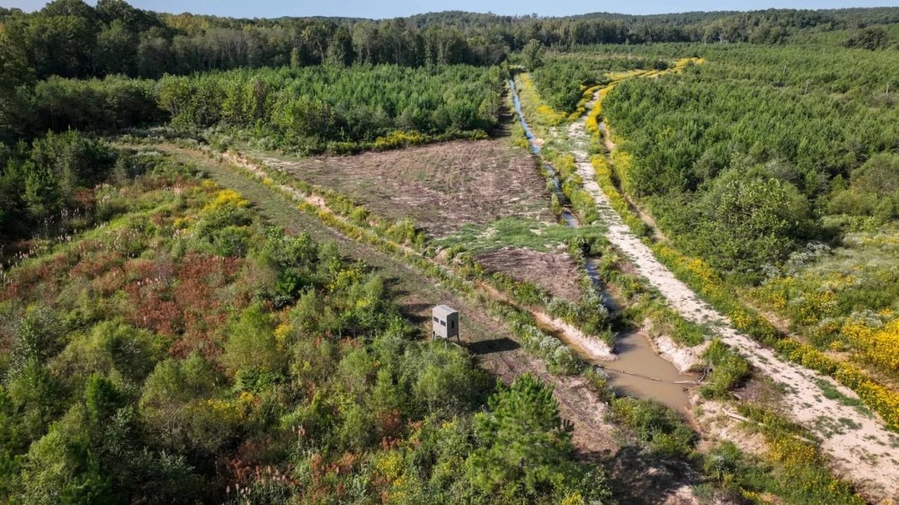 Itawamba - 442 Acres of Prime Recreational and Investment Land featured image