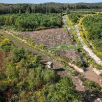 Itawamba - 442 Acres of Prime Recreational and Investment Land