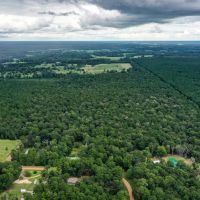 90.3 Acres Squirrel Tree Rd