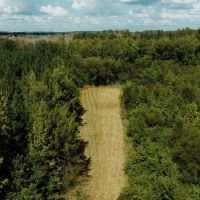 252 Acres in Lamar County Alabama