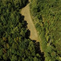 252 Acres in Lamar County Alabama images 3