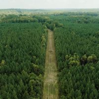 252 Acres in Lamar County Alabama images 5