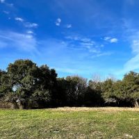 TBD Oilfield Rd images 3