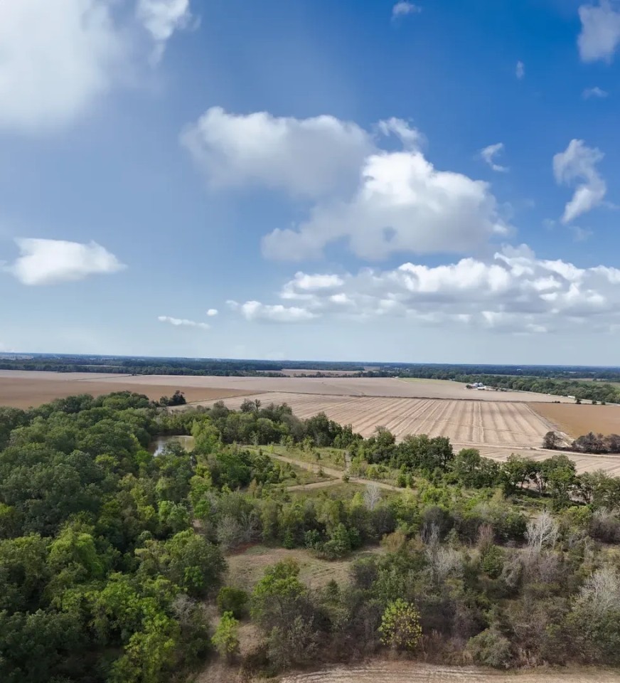 25 Acres in Sunflower County MS featured image