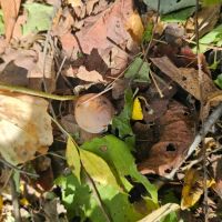 25 Acres in Sunflower County MS images 3