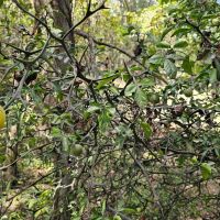 25 Acres in Sunflower County MS images 4