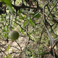 25 Acres in Sunflower County MS images 5