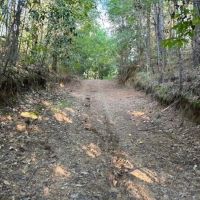 166 Acres Jefferson County Hunting Land Timber Investment images 3