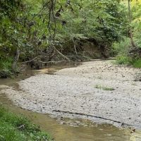 166 Acres Jefferson County Hunting Land Timber Investment images 4