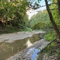 166 Acres Jefferson County Hunting Land Timber Investment images 5