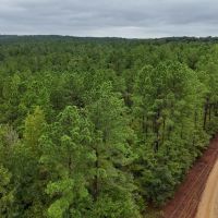67 Acres in Carroll County MS images 2