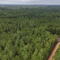 67 Acres in Carroll County MS images 4