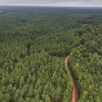 67 Acres in Carroll County MS images 5