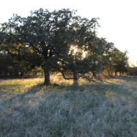 Rural acreage option 1.5 hours West of Downtown Ft. Worth images 4