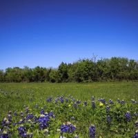 5255 Caney Creek Rd Chappell Hill TX 77426 images 3