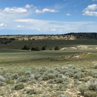 Ervay Basin Ranch images 2