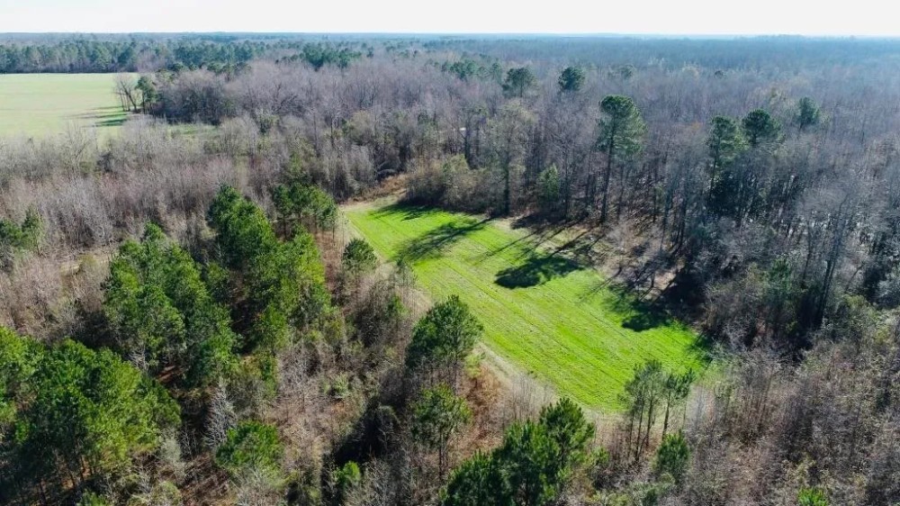 Perkins Hunting Retreat featured image