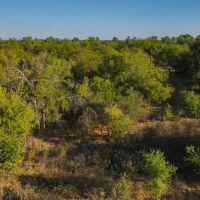 River s Edge Ranch images 3