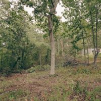 4 Acres in Rhea County TN images 4