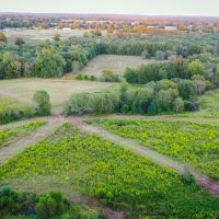 Recreational Hunting Land Winnsboro TX images 3