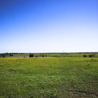 Tract 5 Caney Creek Rd Chappell Hill TX 77426 images 5