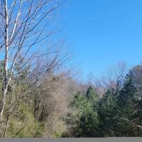 1160 CR 4405 Annona TX 75550 images 5