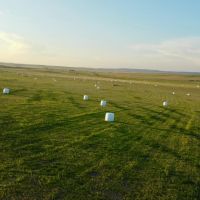 Buckmiller Ranch images 5