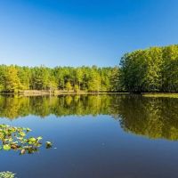 Cypress Lake 127 Acres in Starkville MS images 1