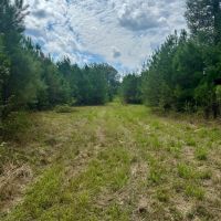 221 Acres Winston County MS