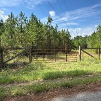 221 Acres Winston County MS images 2