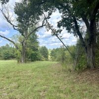 221 Acres Winston County MS images 5