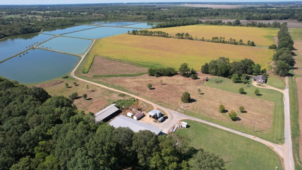 165 - Acre Noxubee County Farm for Sale featured image