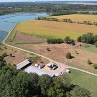 165 - Acre Noxubee County Farm for Sale