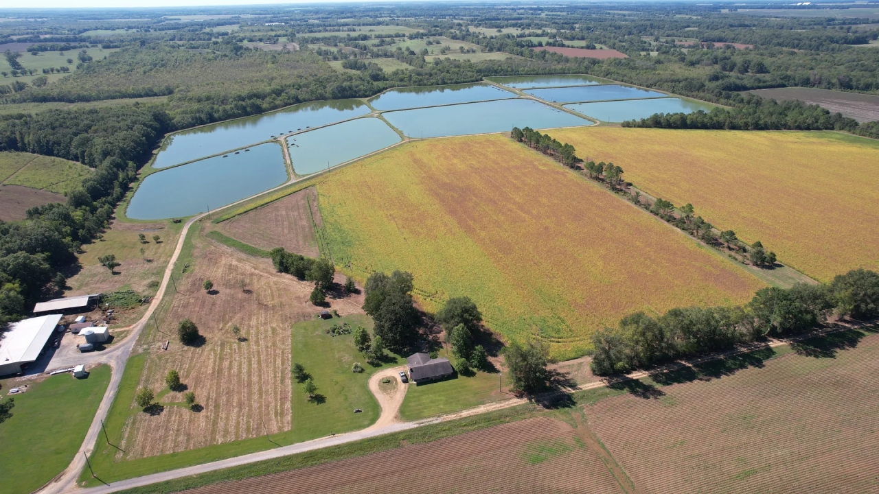 165 Acre Noxubee County Farm for Sale Hunting Land for Sale