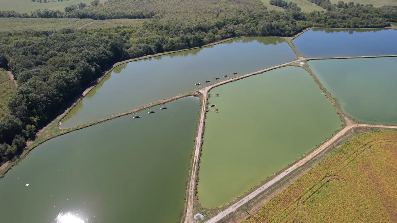 165 Acre Noxubee County Farm for Sale Hunting Land for Sale