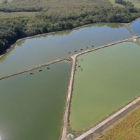 165 - Acre Noxubee County Farm for Sale images 3