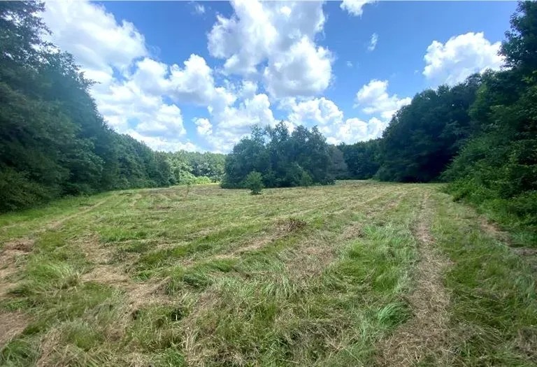 33.7 Acres in Scott County in Morton MS featured image