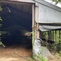 33.7 Acres in Scott County in Morton MS images 3