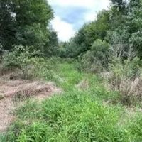 33.7 Acres in Scott County in Morton MS images 4