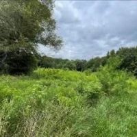 33.7 Acres in Scott County in Morton MS images 5
